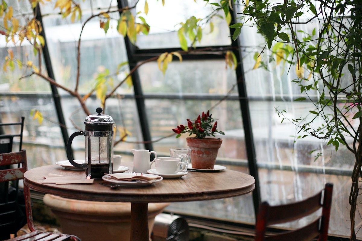 Coffee and cups on a wooden café table surrounded by plants and window light